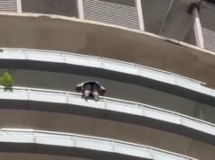 Pleas turn to screams as man jumps off 43rd floor of posh Noida society
