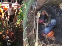 ഫുട്ബോൾ കളിക്കിടെ പന്തിന് പിന്നാലെ ഓടി കിണറ്റില് വീണു: വിദ്യാർഥിയെ രക്ഷപ്പെടുത്തി