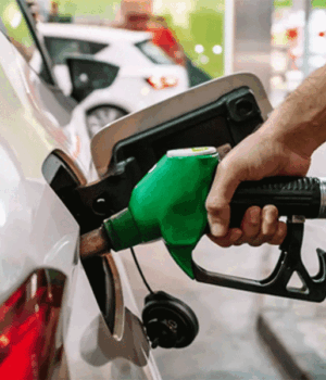 petro.gif