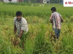 पीएम किसान की 24वीं किस्त कल आपको मिलेगी या नहीं? आज फौरन चेक करें स्टेटस