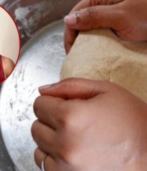 protein_aata_roti_1792585091655_vHlR_1792585100403_d8S0_edd24b36-ec01-4b51-903b-b108939c4f06_qNpD.jpg