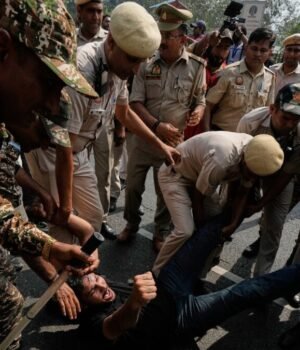 sc-asks-government-to-respond-to-illegal-detention-allegations-during-delhi-protests-112515150-original-sixteen-to-nine.jpeg