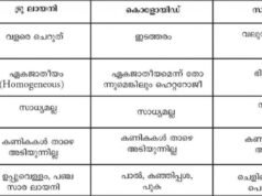 അലിഞ്ഞുചേരുന്ന വിസ്മയങ്ങൾ