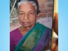 പത്തനാപുരത്ത് തൊഴിലുറപ്പ് തൊഴിലാളിയായ വയോധികയെ കാട്ടാന ചവിട്ടിക്കൊന്നു