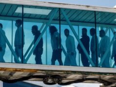 Harms are no longer hypothetical: UN experts slam US third-country deportations