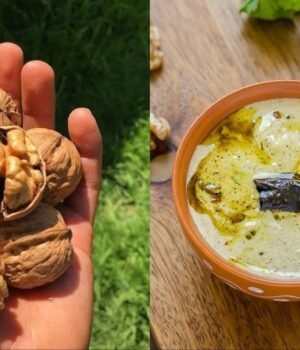 walnut_chutney_recipe_1790912696440_2kK3_1790912701875_rrQY_04811016-2544-4302-a694-1d2e77a53adf_7OlS.jpg
