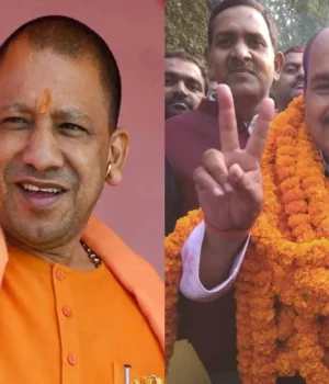 yogi-1793195881.webp