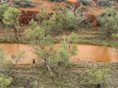 Body found in floodwater as NT missing man search reaches grim conclusion